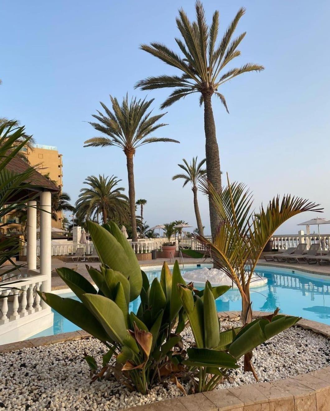 Sunset Ocean View Appartement